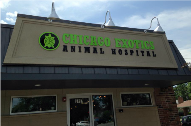 CHICAGO EXOTICS ANIMAL HOSPITAL - Home page