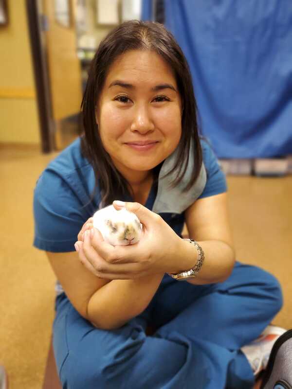 Dr. Moy and baby bunny